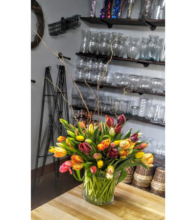 Tulips Gallore Tulips Gallore