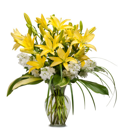 Lilies and Stock Lilies and Stock