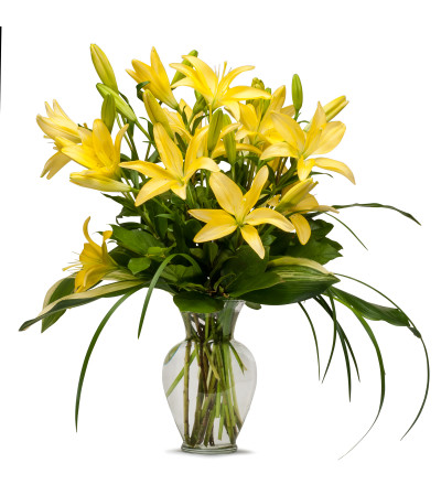 Lilies Lilies