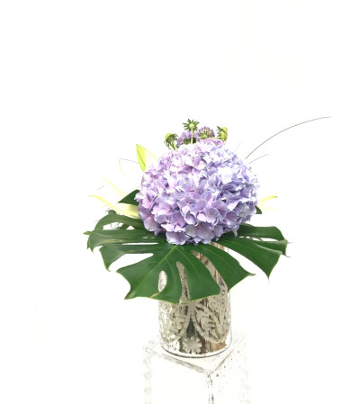 Purple Hydrangea Purple Hydrangea