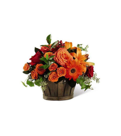 Nature's Bounty Basket Nature's Bounty Basket