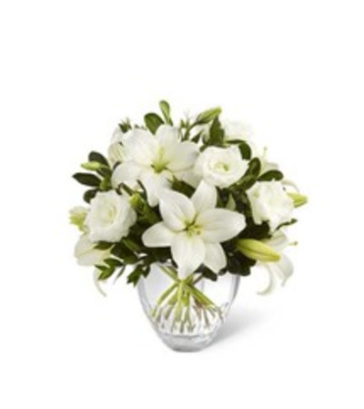 WHITE ELEGANCE WHITE ELEGANCE