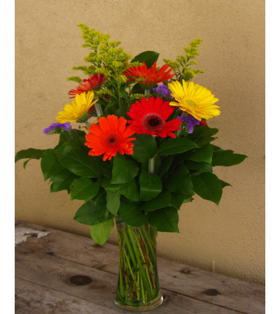 Rainbow of Gerberas Rainbow of Gerberas