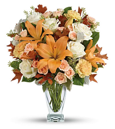 Seasonnal Sophistication Seasonnal Sophistication