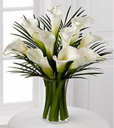 Endless Elegance Endless Elegance