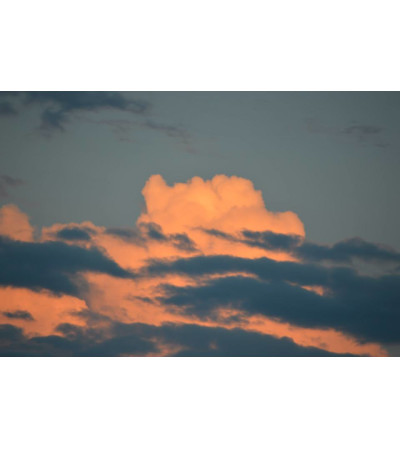 Head in the Clouds Arrangement Head in the Clouds Arrangement