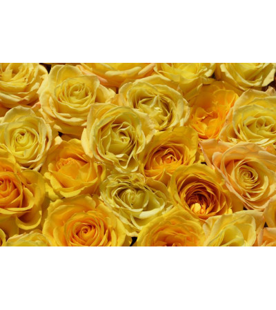 Custom arrangement for yellow lovers Custom arrangement for yellow lovers
