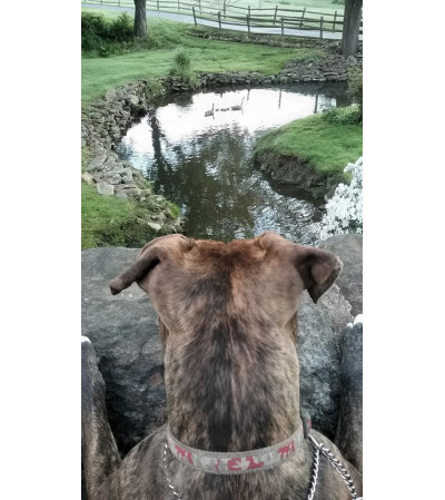 THE KEEN OBSERVER THE KEEN OBSERVER
