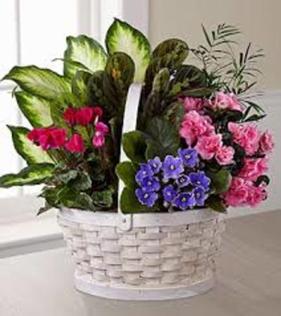 The FTD® Peaceful Garden™ Planter The FTD® Peaceful Garden™ Planter