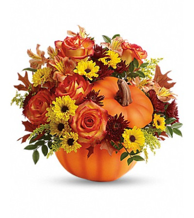 Warm Fall Wishes Warm Fall Wishes