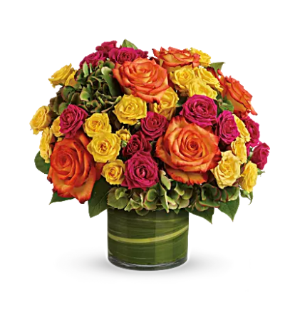 Roses In Vogue Roses In Vogue