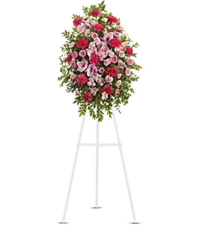 Teleflora - Pink Tribute Spray Teleflora - Pink Tribute Spray