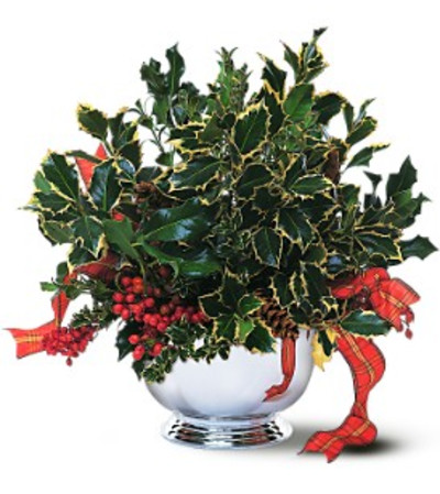 Holly Bowl Holly Bowl