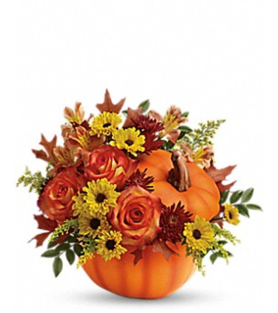 FALL WISHES FALL WISHES