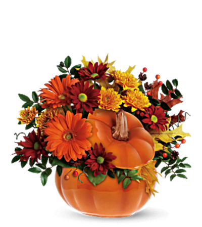 COUNTRY PUMPKIN COUNTRY PUMPKIN