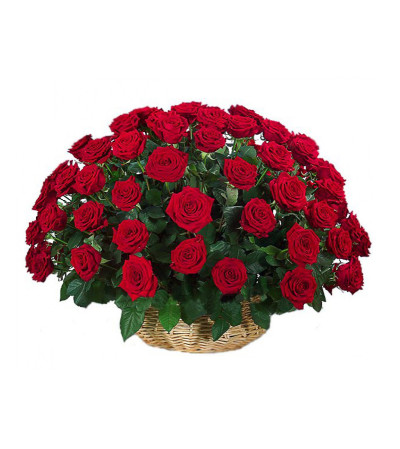 Red roses whisper Red roses whisper