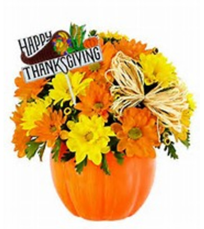 Pumpkin sunshine Pumpkin sunshine