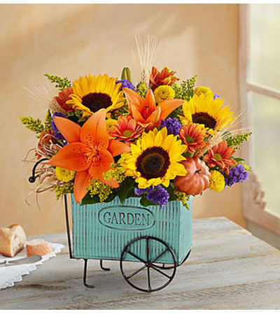 Garden Cart Garden Cart