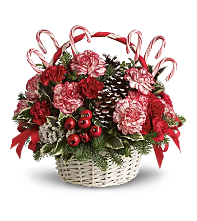 Candy Cane Christmas Candy Cane Christmas
