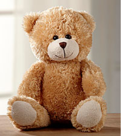 Teddy Bear Teddy Bear