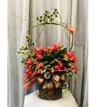 Ellington's Christmas Cactus Ellington's Christmas Cactus