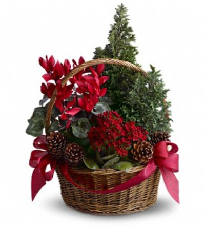 Tannenbaum Basket Tannenbaum Basket