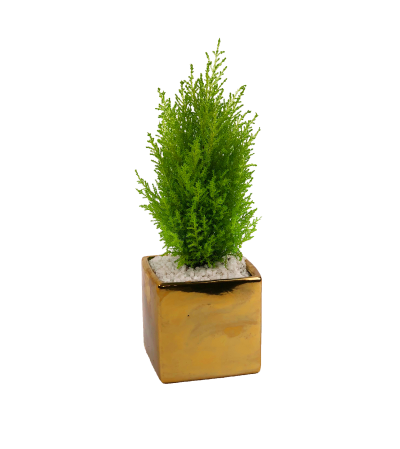 Gold Mini Tree Gold Mini Tree