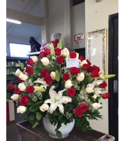 4 doz red and white roses 4 doz red and white roses