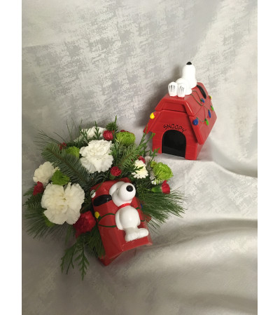 Snoopy's Cookie Jar Snoopy's Cookie Jar
