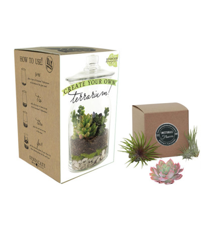 Create your own Terrarium Create your own Terrarium