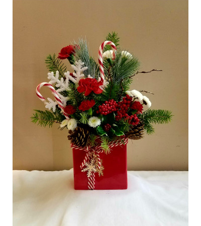 Wintertime Gift Wintertime Gift