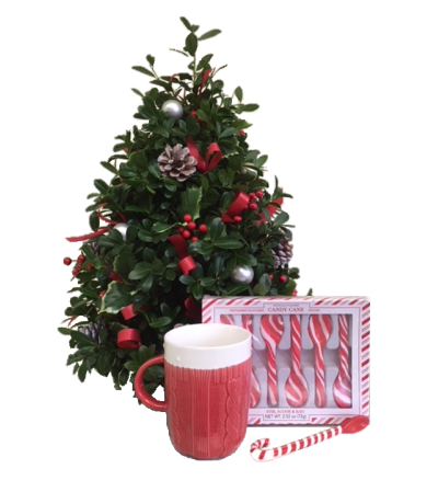 Celebration Flower Tree Gift Set Celebration Flower Tree Gift Set