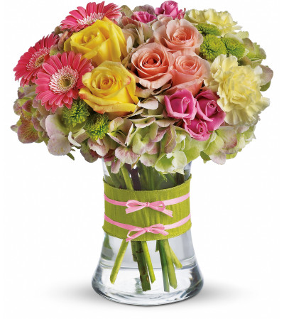 Fashionista Blooms Fashionista Blooms