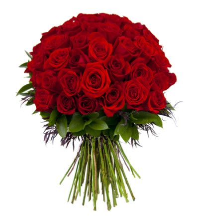 50 ROSE FOR YOU 50 ROSE FOR YOU