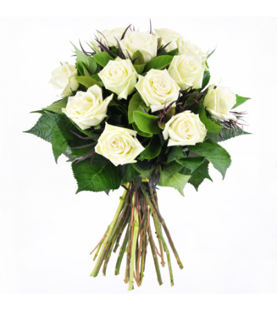 12 WHITE ROSE 12 WHITE ROSE