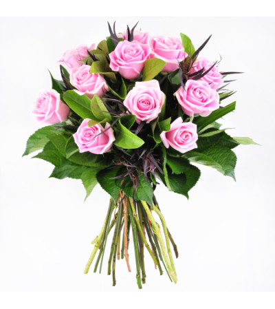 12 PINK ROSES 12 PINK ROSES