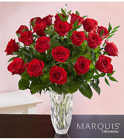 Premium Long Stem Red Roses Premium Long Stem Red Roses