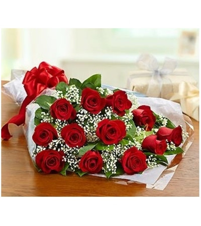 One Dozen Red Rose One Dozen Red Rose
