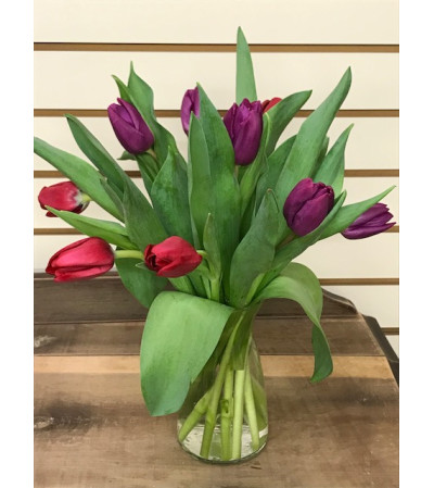 Whimsical Tulips Whimsical Tulips
