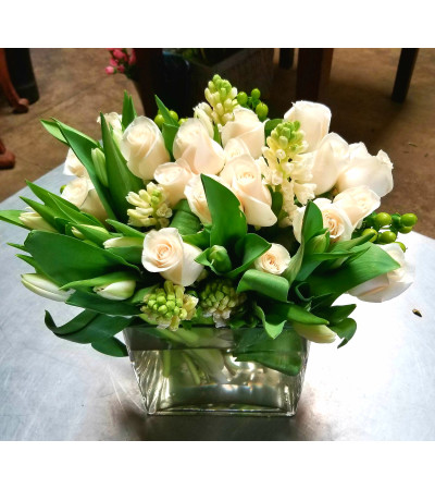 Spring White blooms Spring White blooms