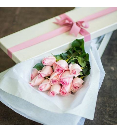 One Dozen Pink Roses One Dozen Pink Roses