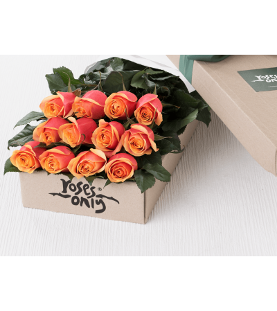 One Dozen Orange Roses One Dozen Orange Roses
