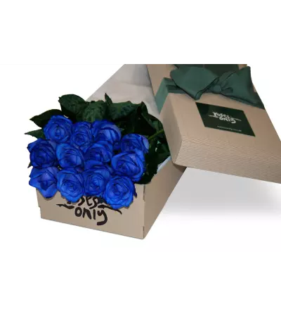 One Dozen Blue Roses One Dozen Blue Roses