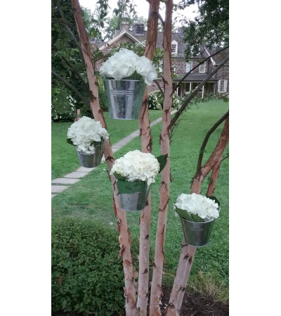 BUCKETS OF HYDRANGEAS BUCKETS OF HYDRANGEAS