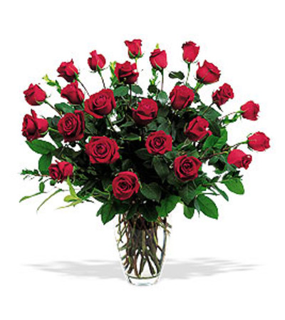 CLASSIC TWO DOZEN ROSE BOUQUET CLASSIC TWO DOZEN ROSE BOUQUET