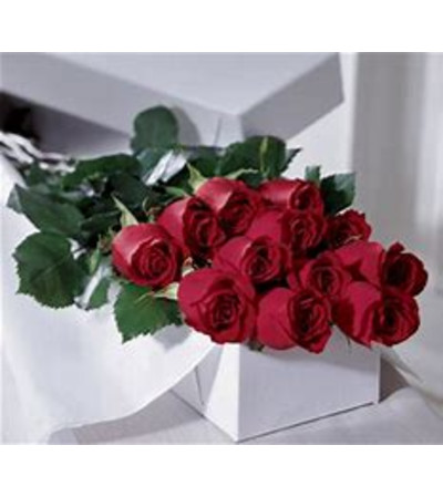 A DOZEN OF ROSES IN A GIFT BOX A DOZEN OF ROSES IN A GIFT BOX