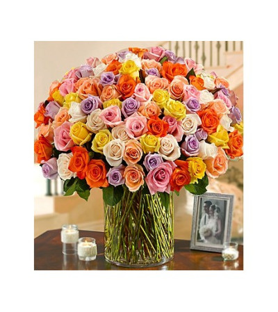 100 PREMIUM LONG STEM MULTICOLORED ROSES 100 PREMIUM LONG STEM MULTICOLORED ROSES