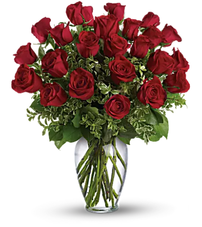 Red roses Red roses