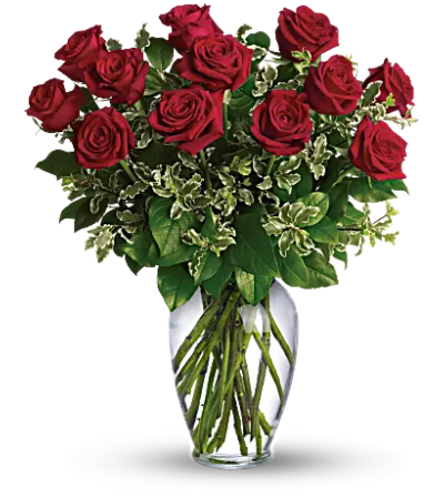 Premium Long Stem Red Roses Premium Long Stem Red Roses