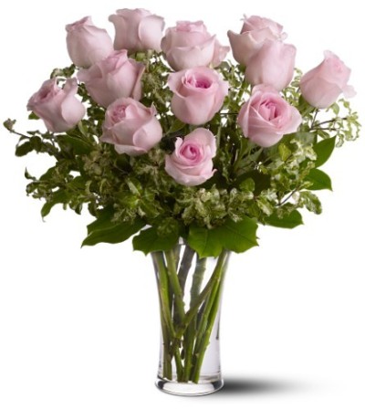 Pretty pink roses Pretty pink roses